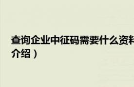 查询企业中征码需要什么资料（企业中征码怎么查相关内容简介介绍）