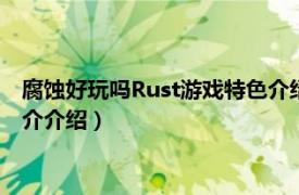 腐蚀好玩吗Rust游戏特色介绍（rust腐蚀是什么游戏相关内容简介介绍）