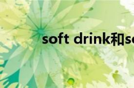 soft drink和soft drinks的区别