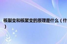 核裂变和核聚变的原理是什么（什么是核裂变原理是什么相关内容简介介绍）