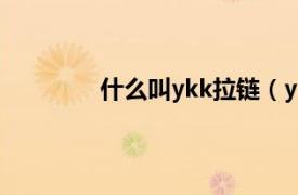 什么叫ykk拉链（ykk拉链是哪个国家的）