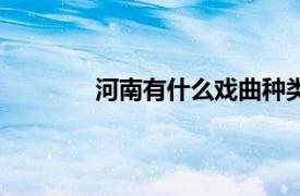 河南有什么戏曲种类（河南戏曲有多少种）