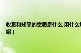 收悉和知悉的意思是什么,用什么场合（知悉用在什么场合相关内容简介介绍）