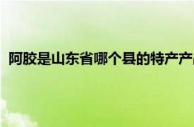 阿胶是山东省哪个县的特产产品（阿胶是山东省哪个县的特产）