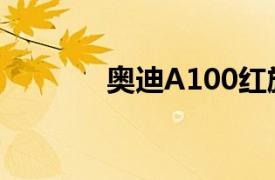 奥迪A100红旗（奥迪A100）