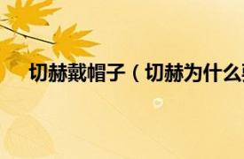 切赫戴帽子（切赫为什么要戴头套相关内容简介介绍）