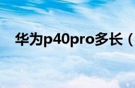 华为p40pro多长（HUAWEI P40 Pro ）