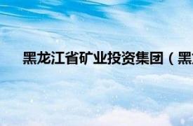 黑龙江省矿业投资集团（黑龙江省矿业集团有限责任公司）