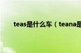 teas是什么车（teana是什么车相关内容简介介绍）