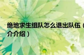 绝地求生组队怎么退出队伍（绝境求生怎么退出组队相关内容简介介绍）