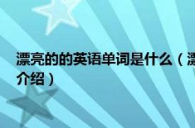 漂亮的的英语单词是什么（漂亮的英文单词有哪些相关内容简介介绍）