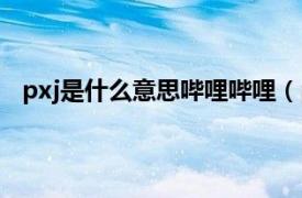 pxj是什么意思哔哩哔哩（pxj是什么相关内容简介介绍）