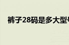 裤子28码是多大型号（裤子28码是多大）