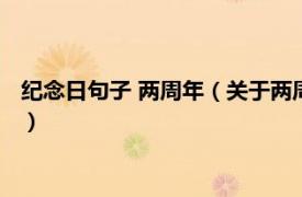 纪念日句子 两周年（关于两周年纪念日的句子相关内容简介介绍）