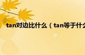 tan对边比什么（tan等于什么边比什么边相关内容简介介绍）