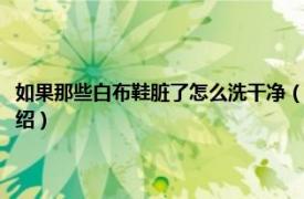 如果那些白布鞋脏了怎么洗干净（白布鞋脏了怎么洗白妙招相关内容简介介绍）