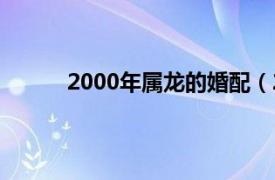 2000年属龙的婚配（2000年属龙的是什么命）