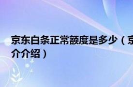 京东白条正常额度是多少（京东白条额度一般是多少相关内容简介介绍）