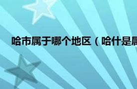 哈市属于哪个地区（哈什是属于哪个地区相关内容简介介绍）