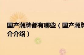 国产潮牌都有哪些（国产潮牌有哪些牌子什么是潮牌相关内容简介介绍）