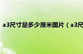 a3尺寸是多少厘米图片（a3尺寸是多少厘米相关内容简介介绍）