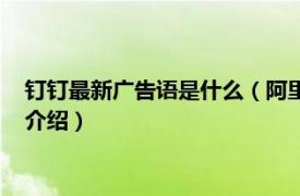 钉钉最新广告语是什么（阿里钉钉的广告语是什么相关内容简介介绍）