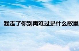 我走了你别再难过是什么歌里的（我走了你别再难过是什么歌）