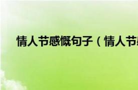 情人节感慨句子（情人节感慨说说相关内容简介介绍）