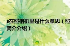 s在照相机里是什么意思（照相机上P、S都是什么意思相关内容简介介绍）