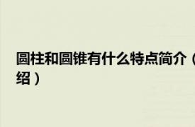 圆柱和圆锥有什么特点简介（圆柱和圆锥的特点相关内容简介介绍）