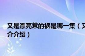 又是漂亮惹的祸是哪一集（又是漂亮惹的祸是哪一期相关内容简介介绍）