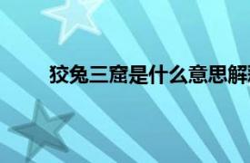 狡兔三窟是什么意思解释（狡兔三窟是什么意思）