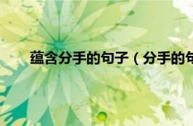 蕴含分手的句子（分手的句子有内涵相关内容简介介绍）