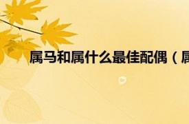 属马和属什么最佳配偶（属马的最佳配偶属相是什么？）