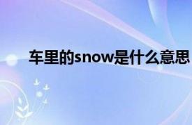 车里的snow是什么意思（车上的snow是什么意思）