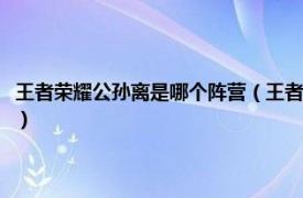 王者荣耀公孙离是哪个阵营（王者荣耀公孙离是什么种族相关内容简介介绍）