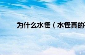 为什么水怪（水怪真的存在吗相关内容简介介绍）