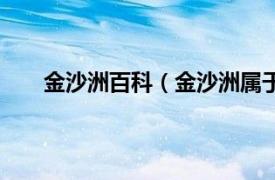 金沙洲百科（金沙洲属于哪个区相关内容简介介绍）