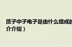 质子中子电子是由什么组成的（中子质子电子的关系相关内容简介介绍）