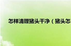 怎样清理猪头干净（猪头怎么处理干净相关内容简介介绍）