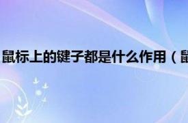 鼠标上的键子都是什么作用（鼠标中键是什么相关内容简介介绍）