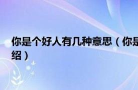 你是个好人有几种意思（你是个好人是什么意思相关内容简介介绍）