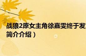 战狼2原女主角徐嘉雯终于发声（徐嘉雯在战狼1饰演谁相关内容简介介绍）