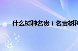 什么树种名贵（名贵树种有哪些相关内容简介介绍）