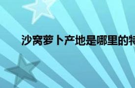 沙窝萝卜产地是哪里的特产（沙窝萝卜产地是哪里）