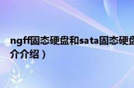 ngff固态硬盘和sata固态硬盘（ngff固态硬盘是什么相关内容简介介绍）