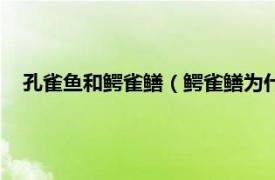 孔雀鱼和鳄雀鳝（鳄雀鳝为什么怕孔雀鱼相关内容简介介绍）