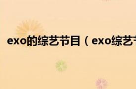 exo的综艺节目（exo综艺节目有哪些相关内容简介介绍）