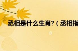 丞相是什么生肖?（丞相指哪个生肖相关内容简介介绍）