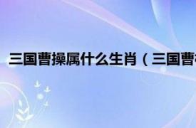 三国曹操属什么生肖（三国曹植属什么生肖相关内容简介介绍）